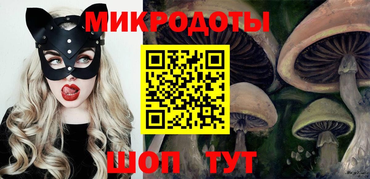 Псилоцибиновые грибы мицелий Ипатово