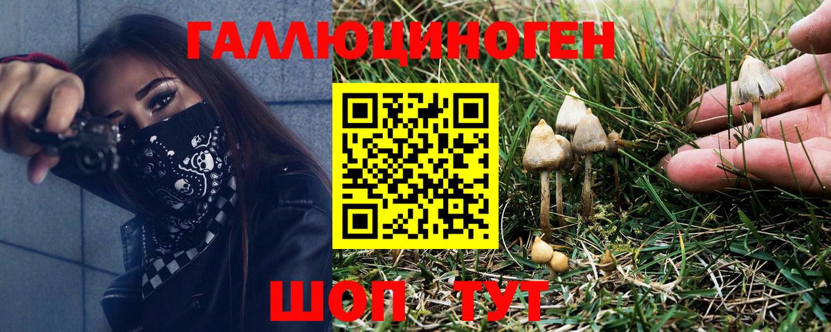 Ипатово  магазин продажи   Галлюциногенные грибы MAGIC MUSHROOMS  Вход с VPN  Галлюциногенные грибы ЛСД 